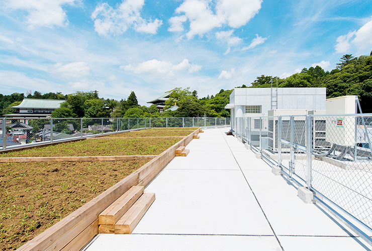 写真　自然観察園